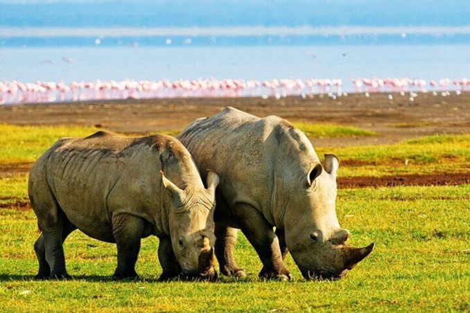 Lake-Nakuru
