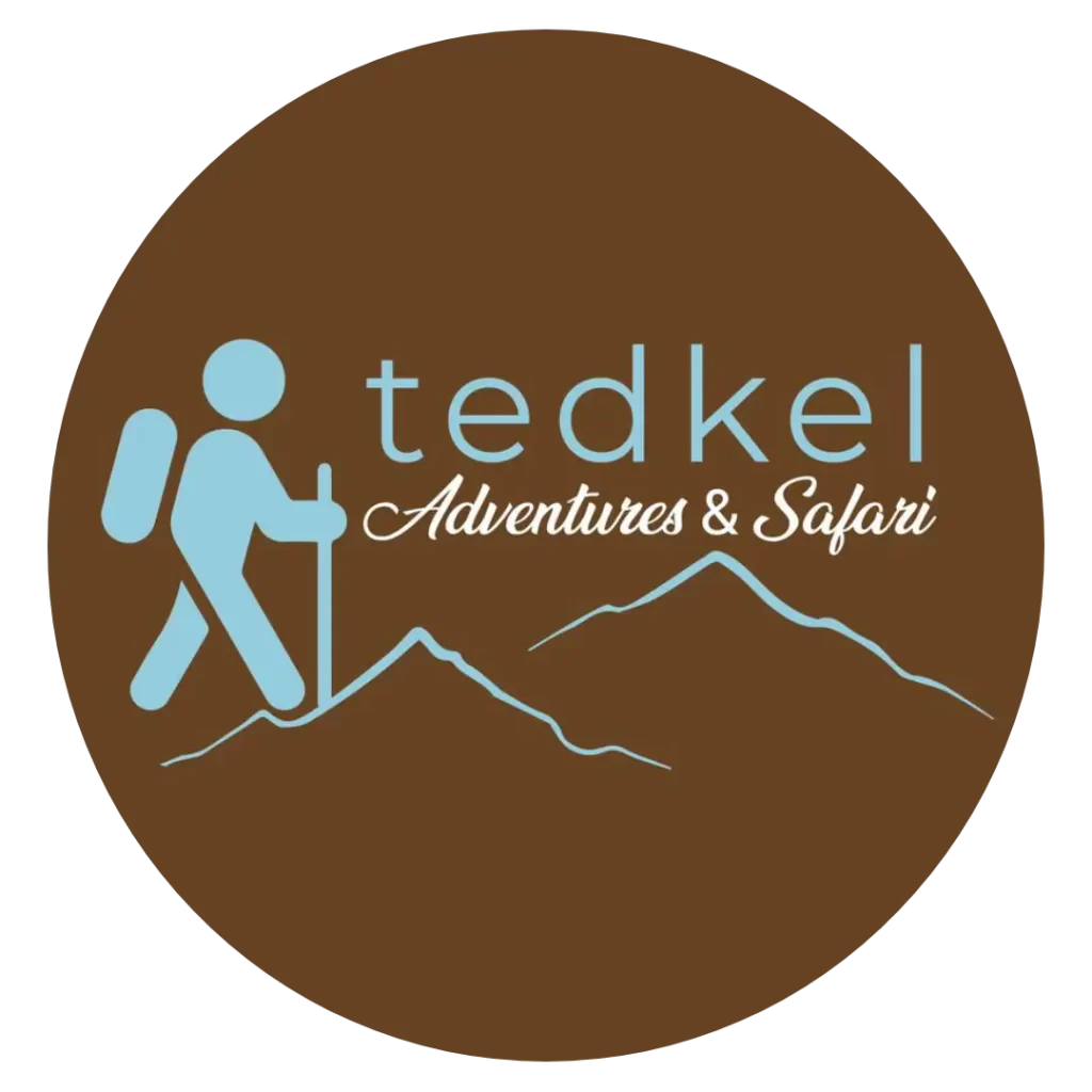 Tedkel favicon