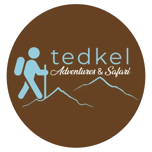 Tedkel favicon