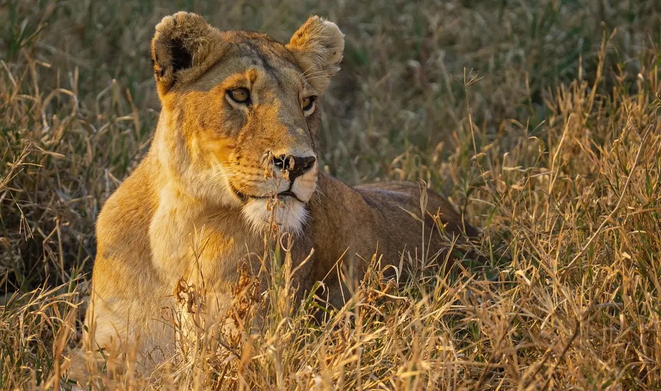 15 DAYS TRIP TANZANIA + ZANZIBAR