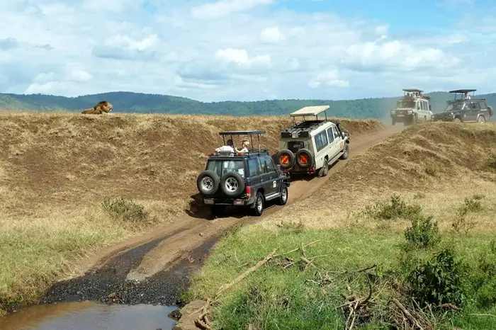 safari-1845202_1280
