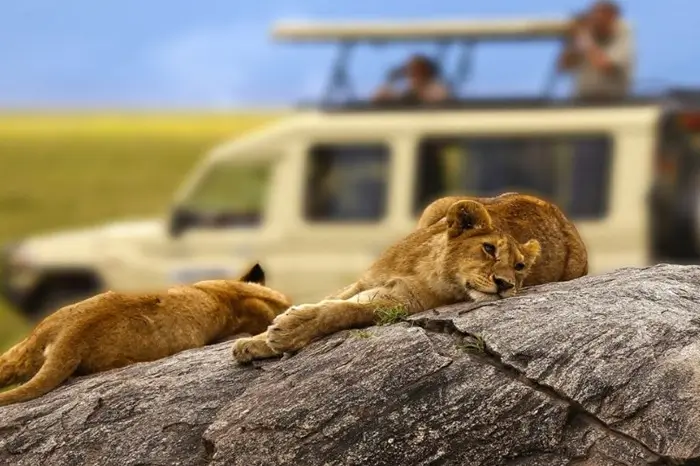 4 Days Serengeti Budget Safari