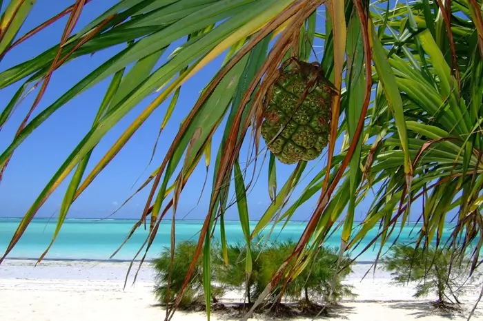 4 Days Zanzibar Beach Holiday