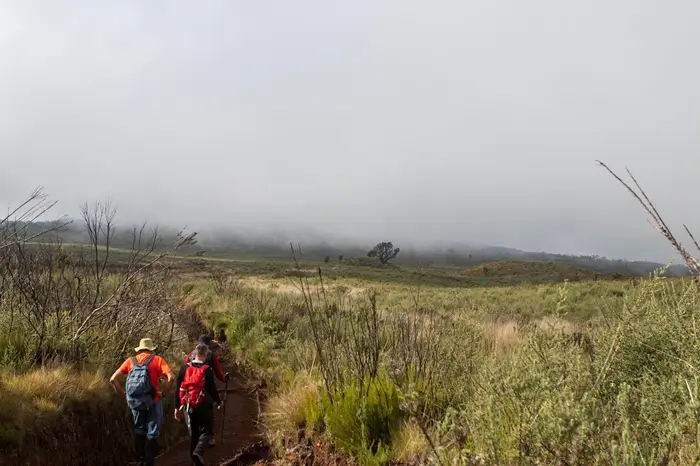 8-Day Nature Hiking & Culture Safari