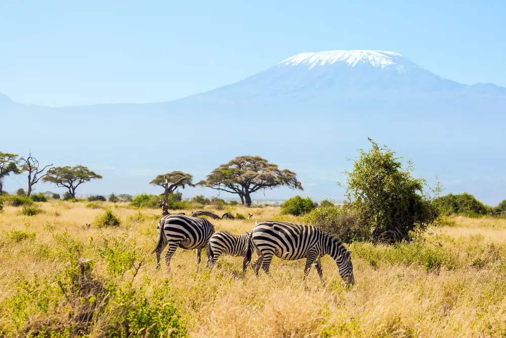 kilimanjaro 2
