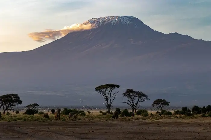 kilimanjaro 1